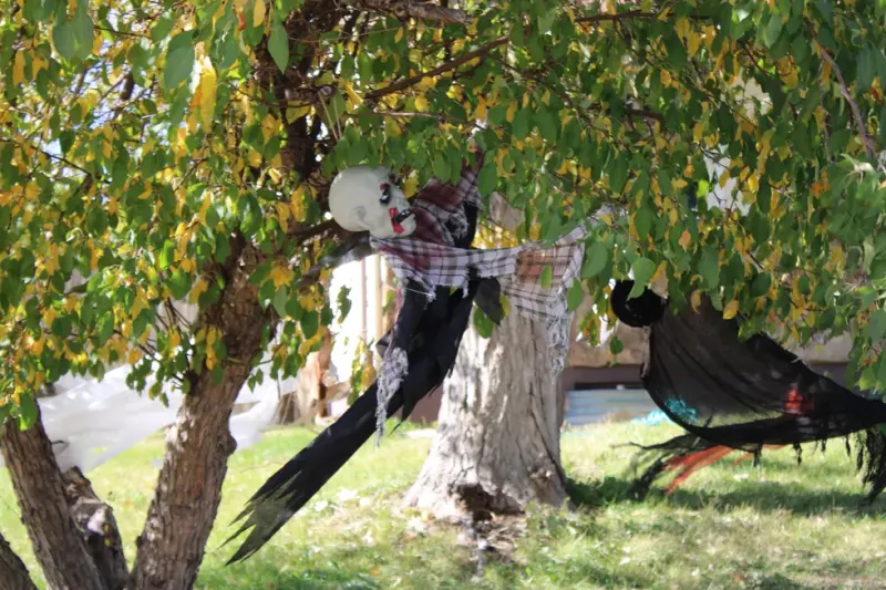 Meet The Casper Houses In Wyoming Taking Halloween Decorations To The Next Level - Decor Hint Daytime View Before The Lights