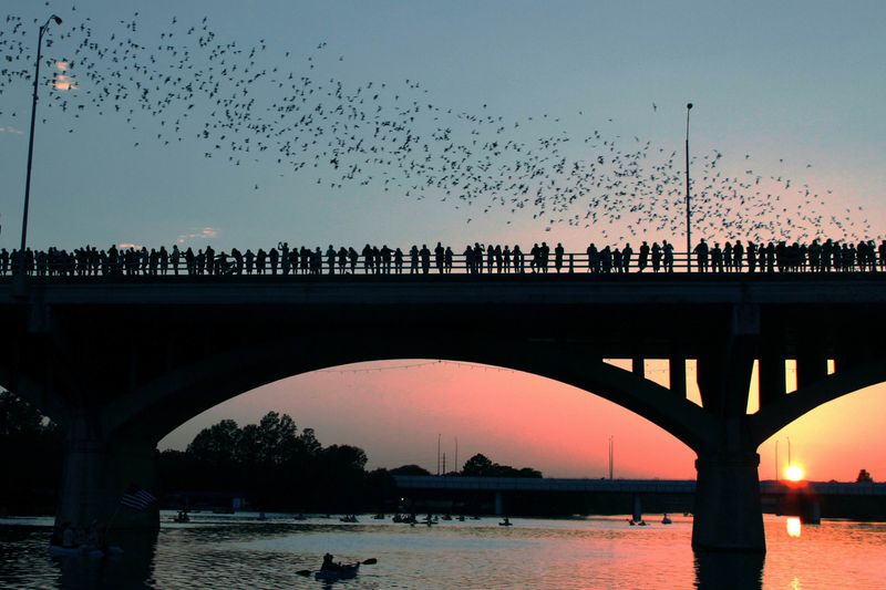 Romantic Austin Adventures Every Couple Should Try - Decor Hint Watch The Bats Emerge At Congress Avenue Bridge
