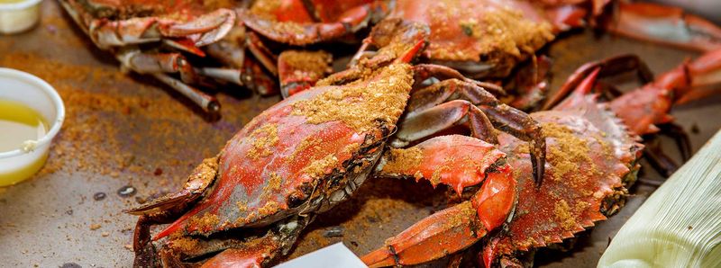 Maryland Seafood Restaurants That Deliver Big Flavor Without The Fuss - Decor Hint Crab Alley: Ocean City Hidden Gem
