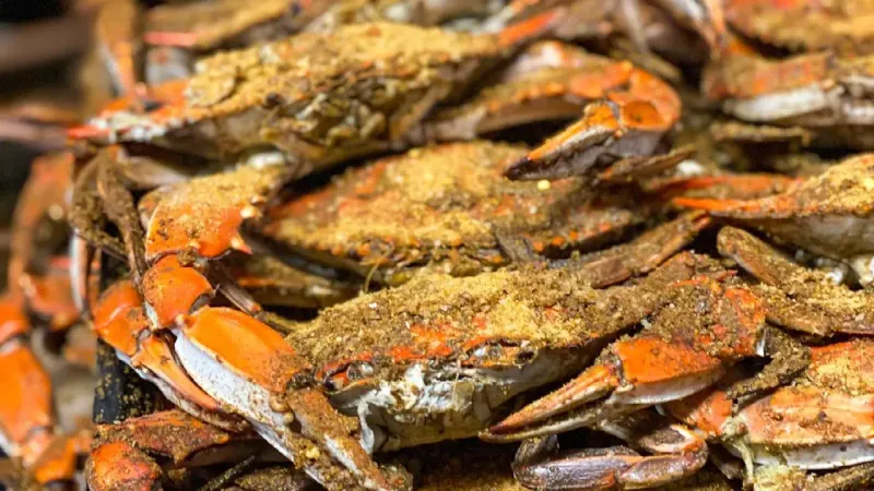 Full Moon Crab Ritual in Easton