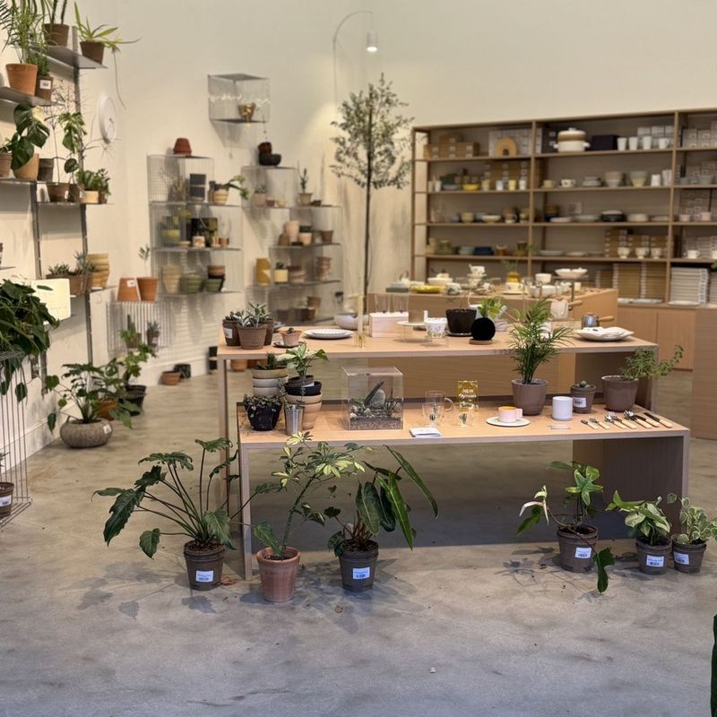 Redwood Room Plants, Santa Cruz