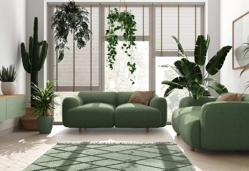 Wellness-Centric Homes