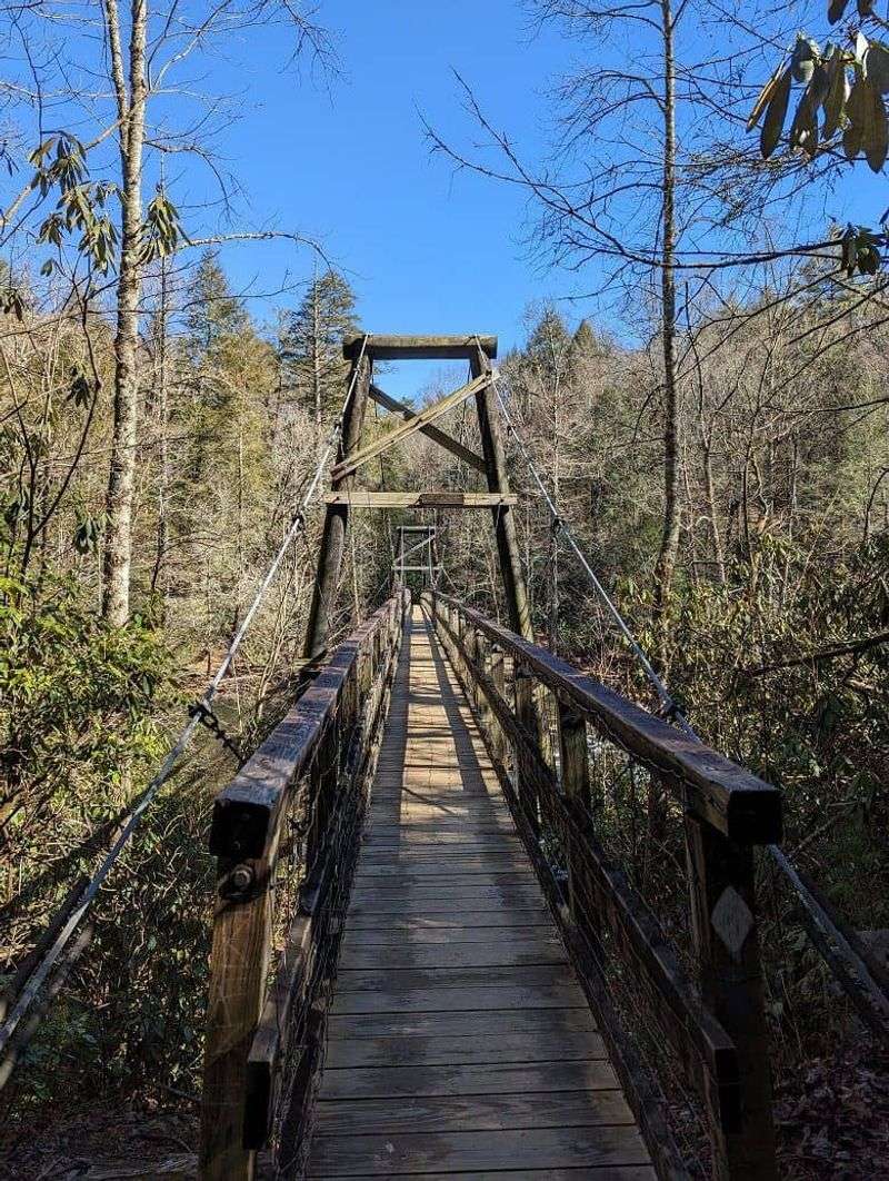 Recharge Your Soul In Blue Ridge, Georgia - Decor Hint Toccoa River Swinging Bridge
