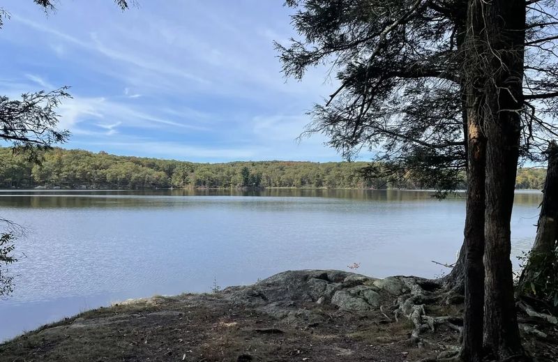 Escape The Crowds At These 16 Quiet Lakes In New Jersey - Decor Hint Wawayanda Lake