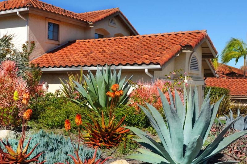 Elaborate Desert Landscaping