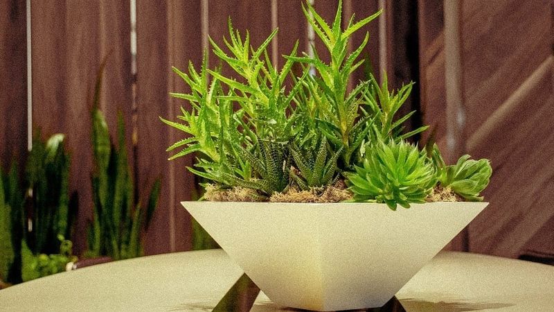Faux Plants