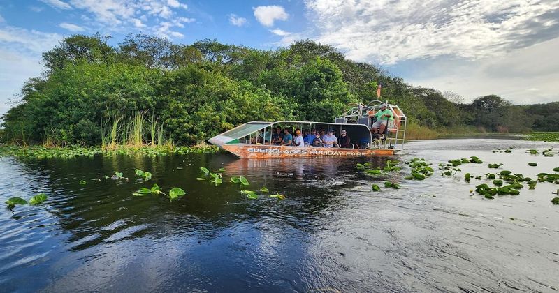 Visit Myakka River State Park For Wildlife And Airboat Rides