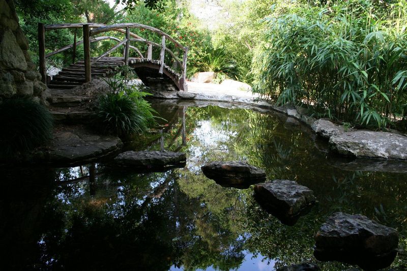 Romantic Austin Adventures Every Couple Should Try - Decor Hint Stroll Through The Zilker Botanical Garden