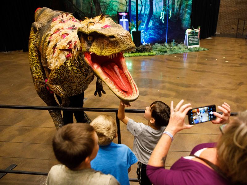 Meet the Walking Dinosaur Puppets