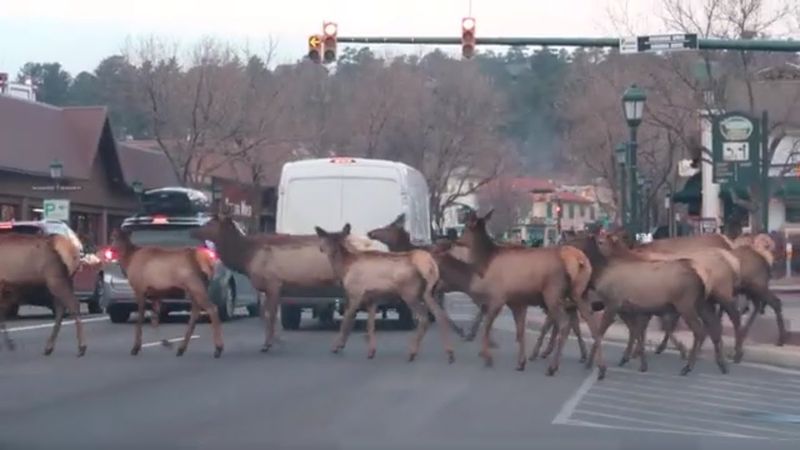 Colorado Mountain Towns That Locals Say Are Packed With Tourists - Decor Hint Estes Park