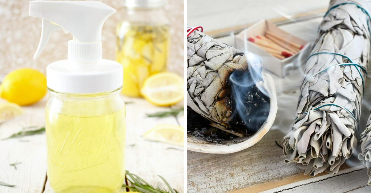 Texas Natural Ways To Deodorize A Home That Work - Decor Hint