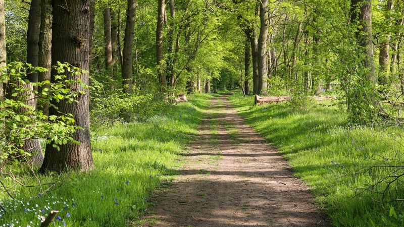 Texas' Soon-To-Open State Park Is A Peaceful Retreat Of Creeks, Forests, And Canyons - Decor Hint A New Gem Joins Texas' Expanding State Park System