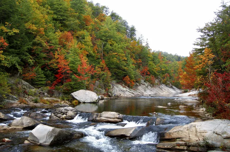 Baby Boomers Are Driving Big Changes In North Carolina Real Estate - Decor Hint Regional Hotspots For Boomer Home Buyers