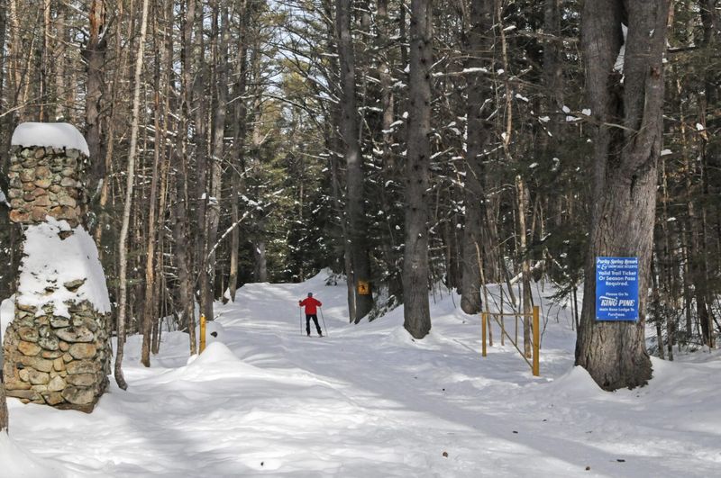 King Pine's Low-Cost Lift Strategy