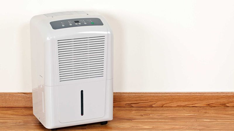 Louisiana Homeowners Are Turning To This Budget-Friendly Upgrade To Fight Mold - Decor Hint How This Simple Fix Stops Mold Before It Starts