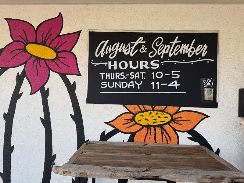 Arizona’s Must-Visit Vintage Shops That Are Worth The Detour - Decor Hint Rust And Rose, Scottsdale