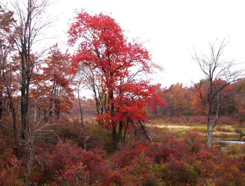 20 U.S. Destinations That Are Even Better In The Off-Season, Spanning Maine And Florida - Decor Hint The Poconos, Pennsylvania