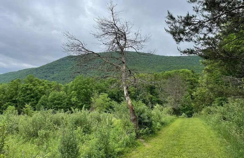 11 Weekend Getaways From New Jersey Filled With Adventure And Nature - Decor Hint Jersey Shore