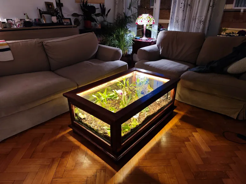 The Terrarium Coffee Table Display