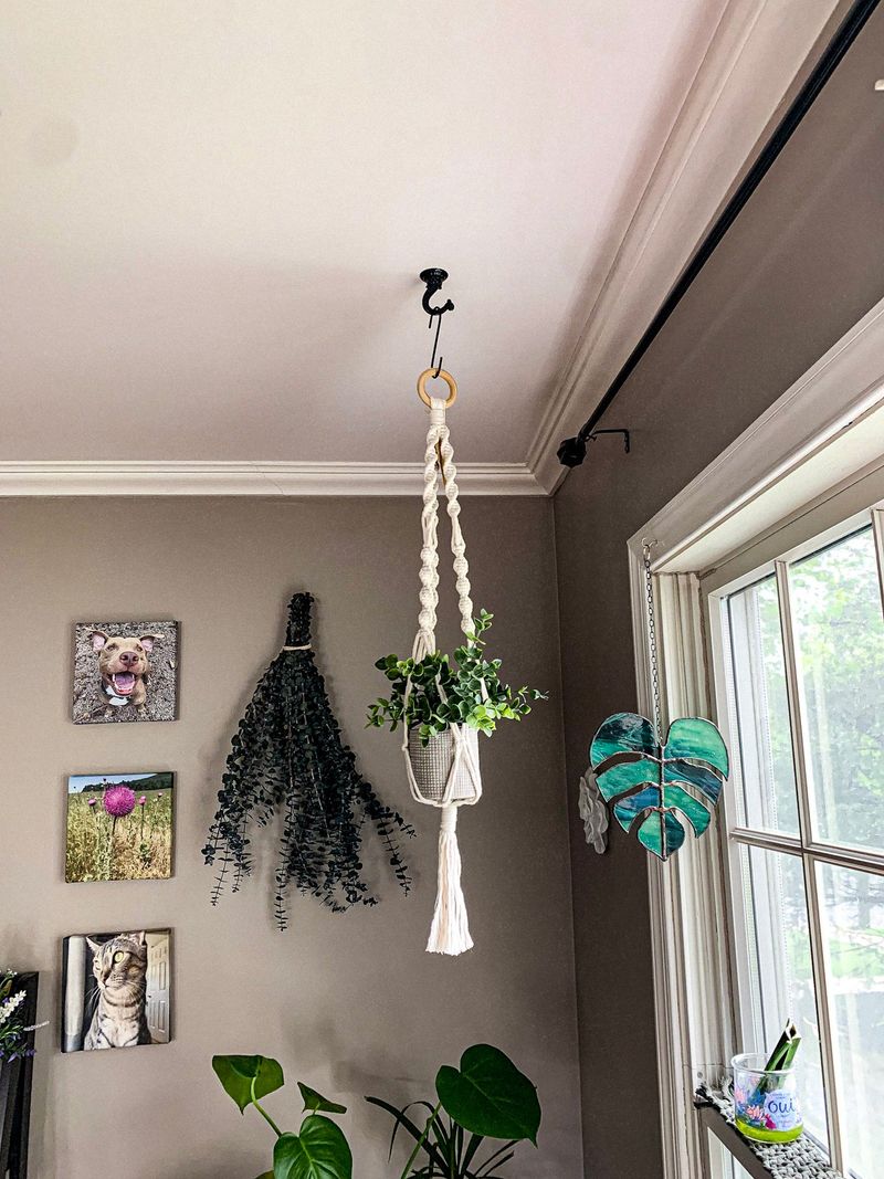The Macrame Hanging Garden