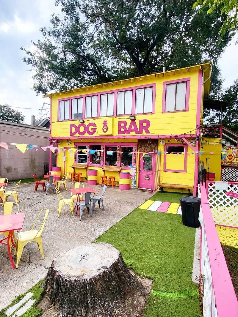 Dog Bar, Houston