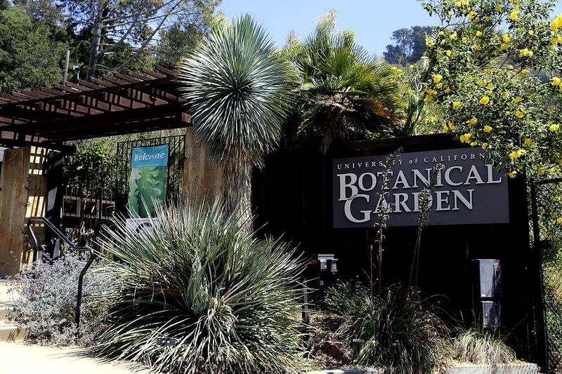 UC Berkeley Botanical Garden: Living Museum of Diversity