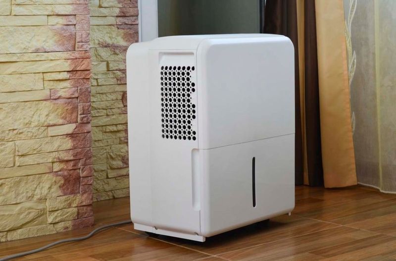 Louisiana Homeowners Are Turning To This Budget-Friendly Upgrade To Fight Mold - Decor Hint The Affordable Home Upgrade Everyone's Talking About