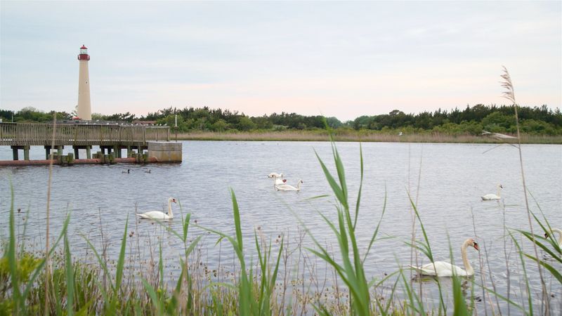 11 Weekend Getaways From New Jersey Filled With Adventure And Nature - Decor Hint Cape May