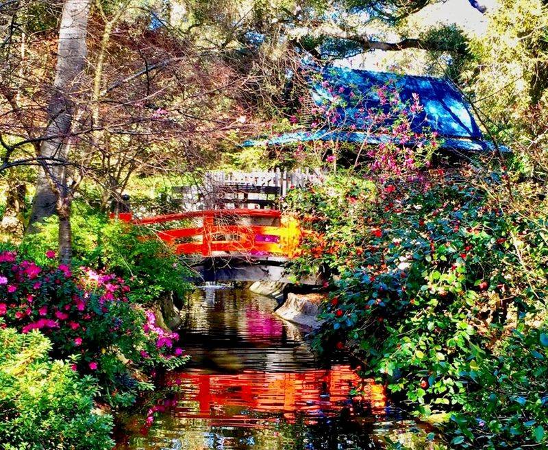 Descanso Gardens: Woodland Magic in La Cañada Flintridge