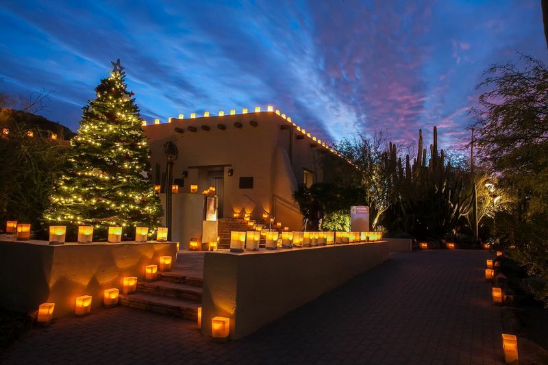 Desert Botanical Garden's Hidden Patio