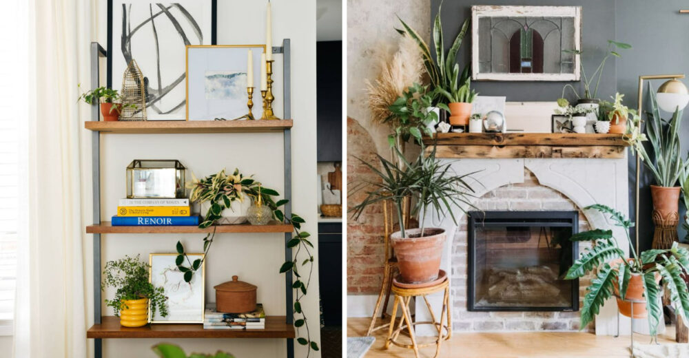 The Most Charming Indoor Plant Corners And Living Room Gardens In Pennsylvania Youll Ever See - Decor Hint