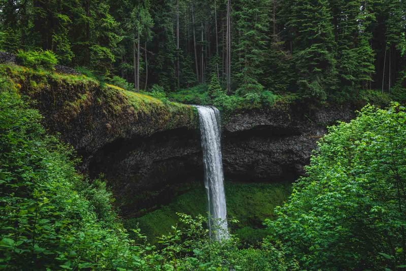 The Allure Of Silver Falls State Park