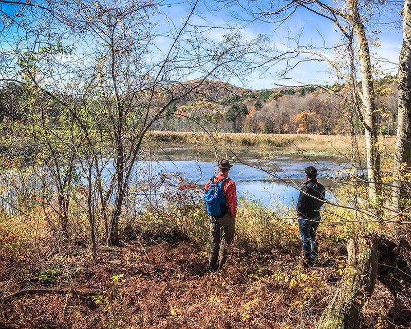 11 Weekend Getaways From New Jersey Filled With Adventure And Nature - Decor Hint The Berkshires