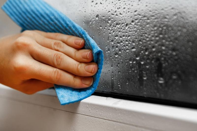 Louisiana Homeowners Are Turning To This Budget-Friendly Upgrade To Fight Mold - Decor Hint Why Humidity Makes The Bayou A Breeding Ground