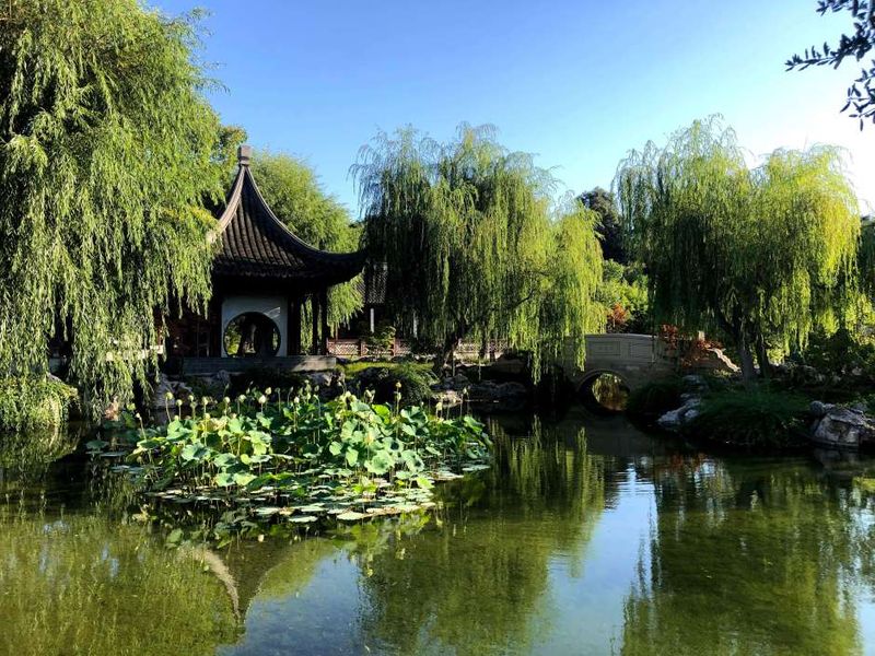 The Garden of Flowing Fragrance: Chinese Artistry at The Huntington