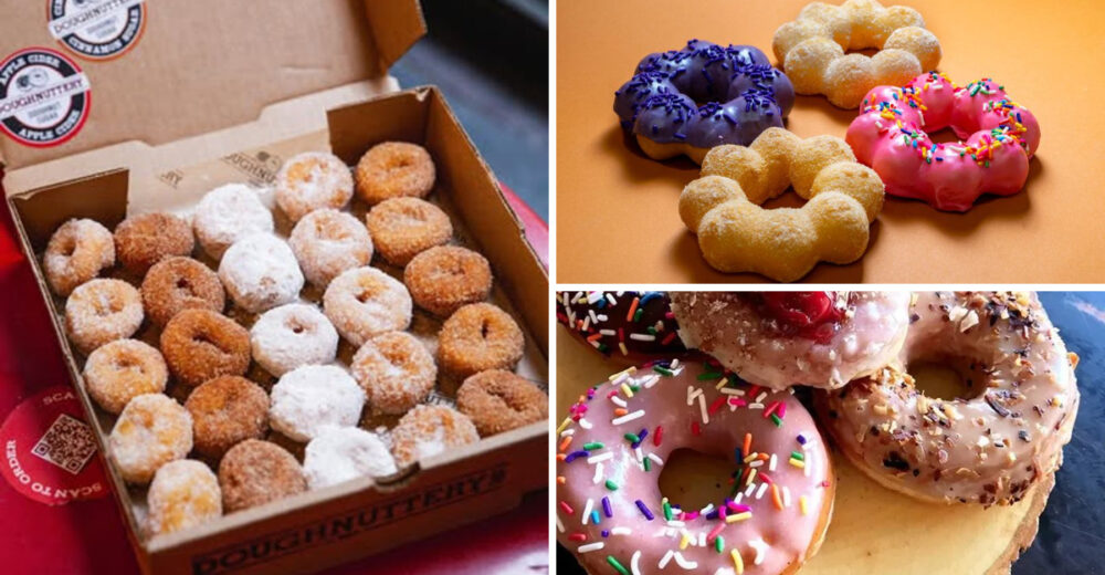 The Sweetest Stops NYCs Best Donut Shops - Decor Hint