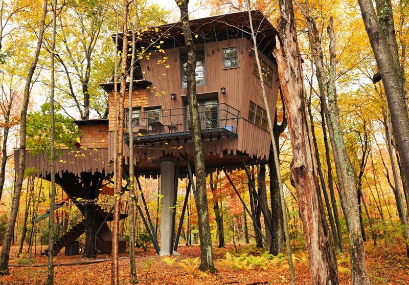 Winvian Farm Treehouse
