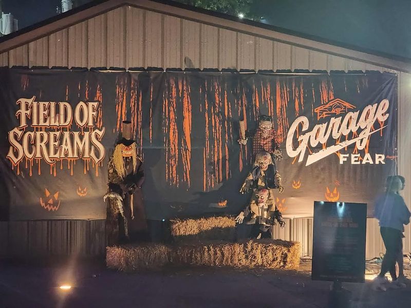 15 Garage Makeovers Turning Ohio Homes Into Haunted Havens - Decor Hint The Creepy Carnival Garage With Twisting Lights And Laughing Clowns