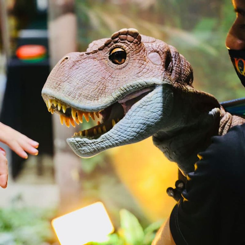 Raptor Training Experience