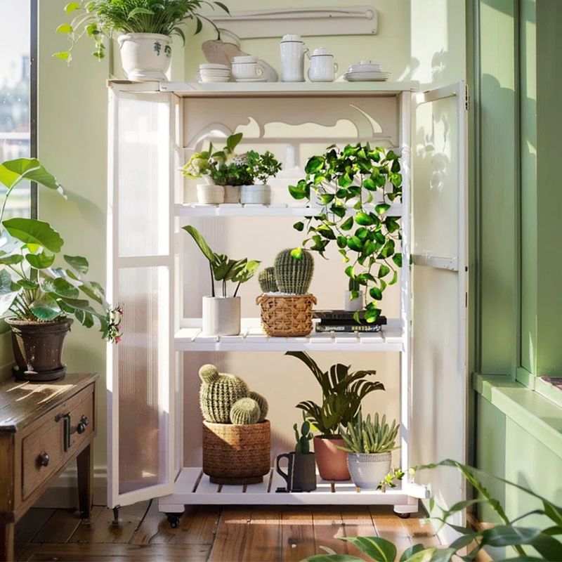 The Corner Glass Cabinet Greenhouse