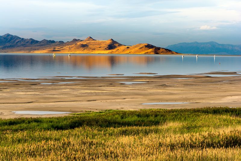 Utah's Gateway To Antelope Island Is A Lakeside Haven Of Bison, Trails, And Adventure - Decor Hint Water Adventures On The Great Salt Lake