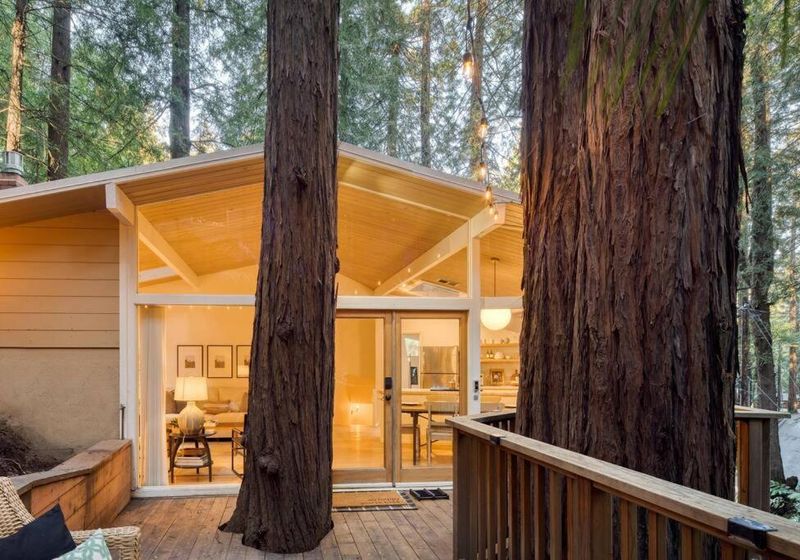 Cozy California Inns That Capture Perfect Cottagecore Vibes - Decor Hint The Redwoods In Muir Woods