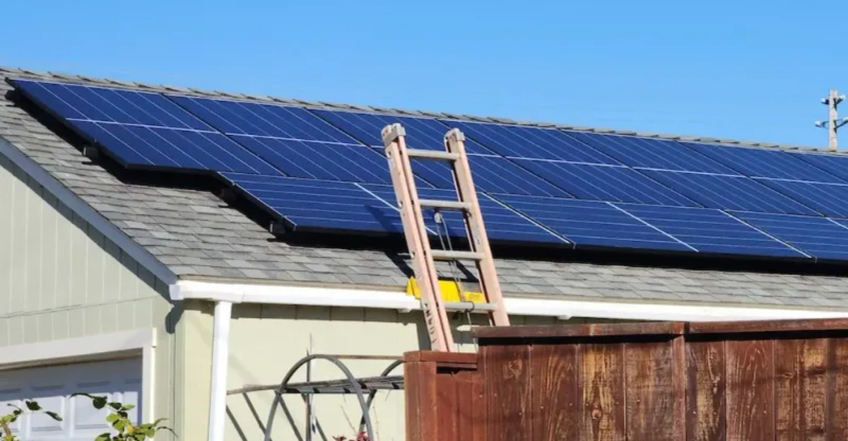 Things California Homeowners Should Know About Solar Panels - Decor Hint Things California Homeowners Should Know About Solar Panels - Decor Hint