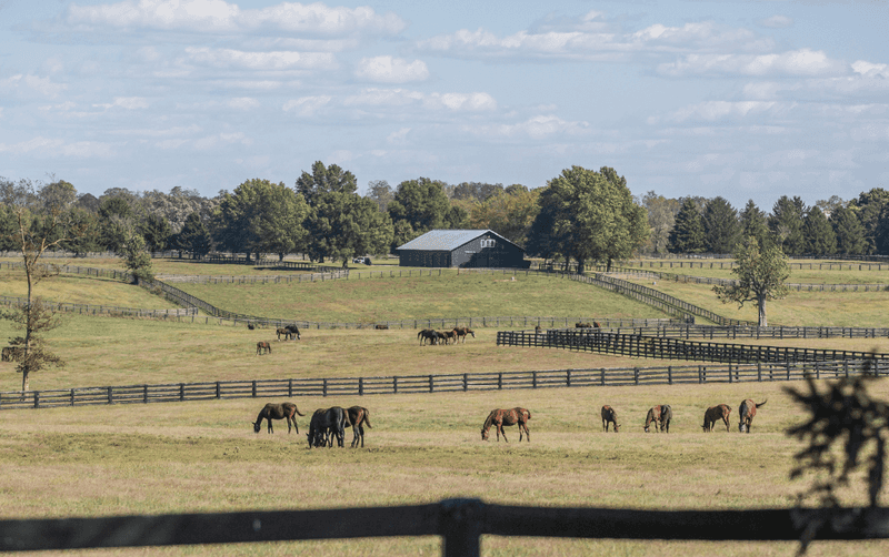 This Quaint Kentucky City Near Lexington Blends Rolling Farmland With Incredible Local Dining - Decor Hint Rolling Farmland Scenery And Horse Country Roads