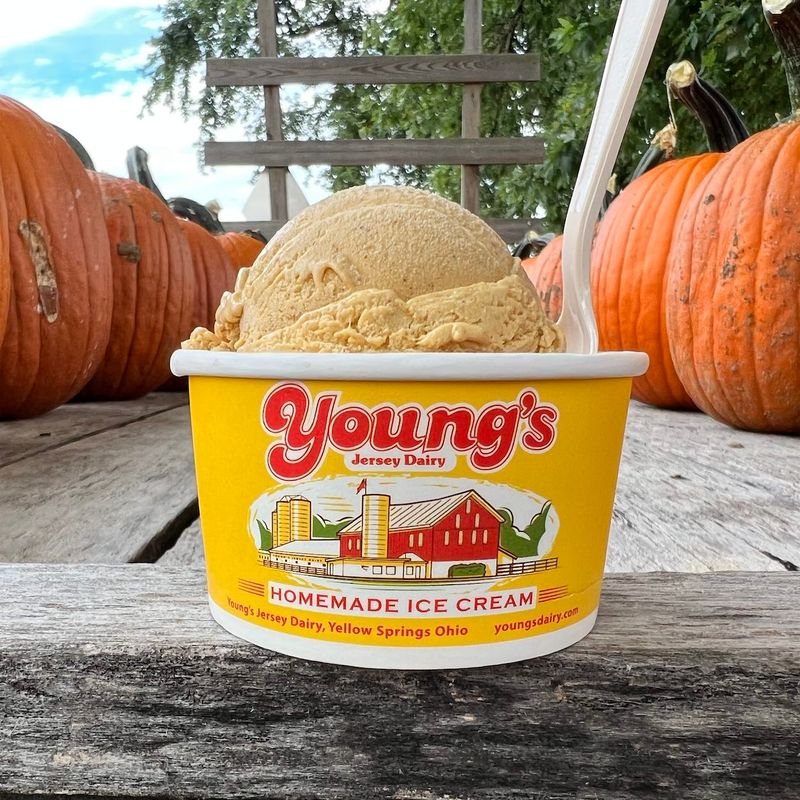 The Official 20 Stop Ohio Ice Cream Trail And The Central Ohio Shops You Can't Miss - Decor Hint Young's Jersey Dairy - Yellow Springs