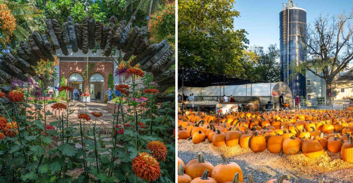 Top Fall Happenings In Pennsylvania This Year - Decor Hint