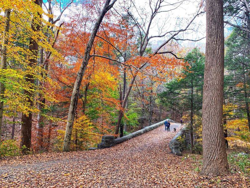 Outdoor Fall Experiences