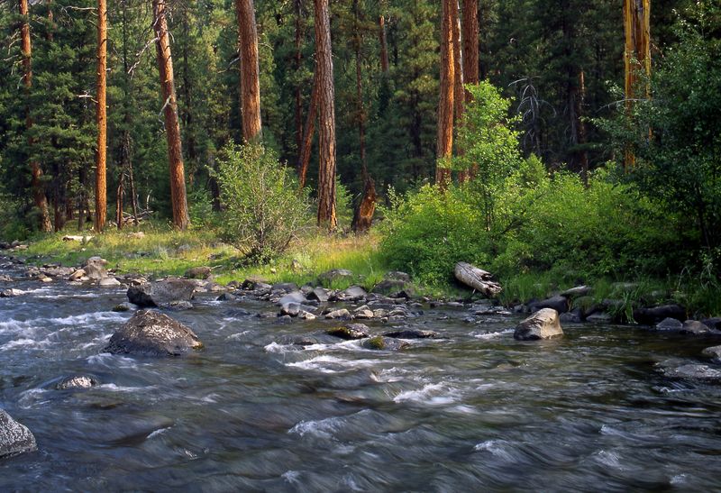 Oregon's Forest Hideaway With 360 Views And Endless Trails - Decor Hint Rivers, Creeks & Water Features