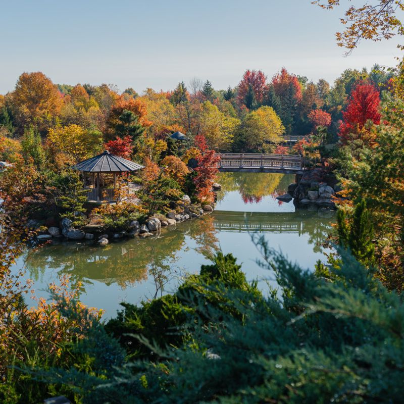 Grand Rapids Color Tour & Cider Festival