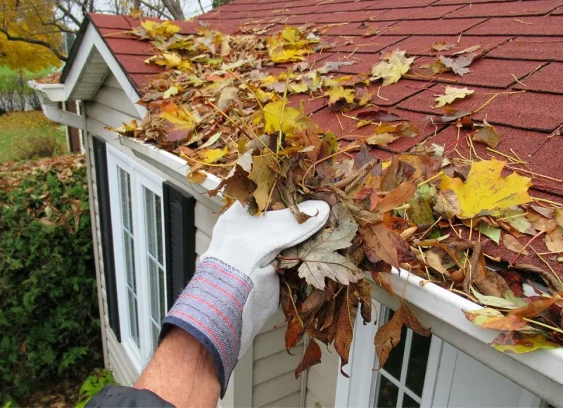 13 Easy Ways To Stop Pests From Invading Your Wyoming Home Before Fall - Decor Hint Clean Your Gutters Before Fall Arrives